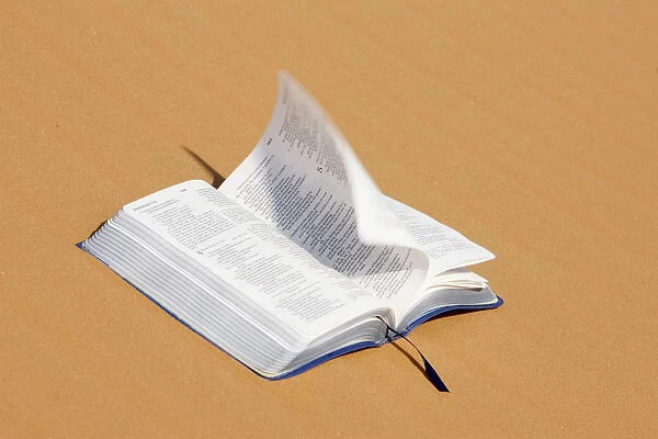 Bible on desert sand
