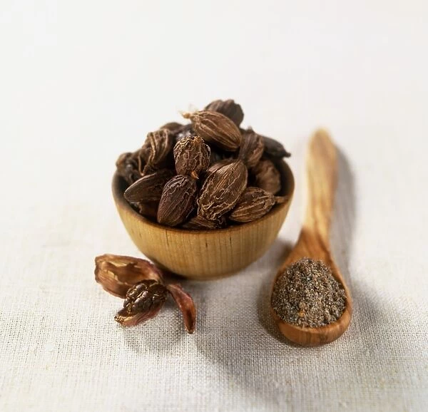 Black cardamom (Amomum subulatum), pods in wooden bowl, ground seeds on wooden spoon