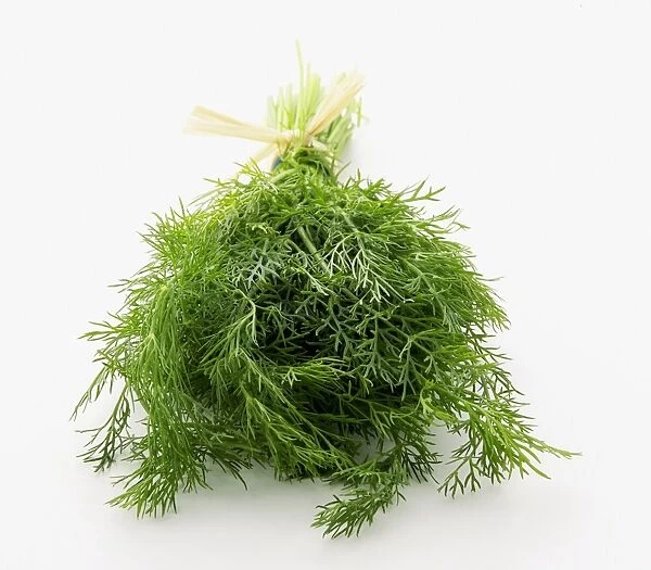 Bunch of dill