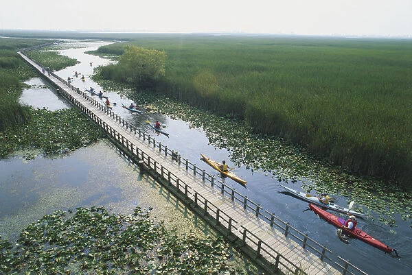 Canada, Ontario, Point Pelee National Park, long line of canoeists paddling their boats alongside a boardwalk, high angle view