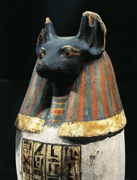 Canopic vase of Padiuf, priest of Amon, Duamutef in dog form, painted wood