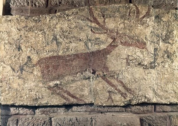 Cave painting depicting a deer, from Catal Huyuk or Catalhoyuk sanctuary, 6th millenium BC