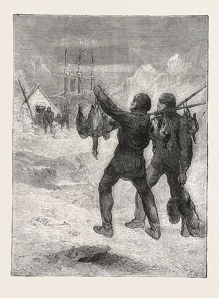Christmas with the arctic expedition, 1876, FRESH MEAT FOR DINNER