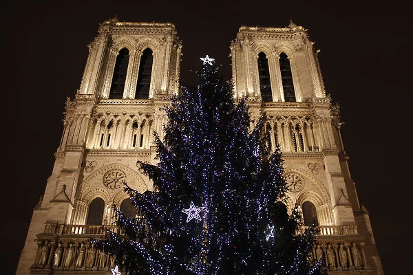 Christmas tree outside Notre-Dame of Paris cathedral
