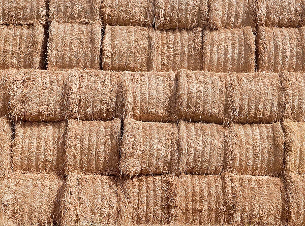 Close up of a giant haystack in a Radley corn field just after harvesting