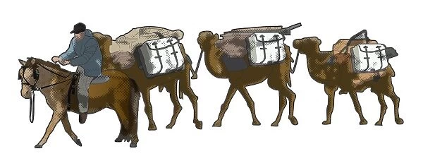 Digital illustration of man on horse leading roped camel train carrying equipment