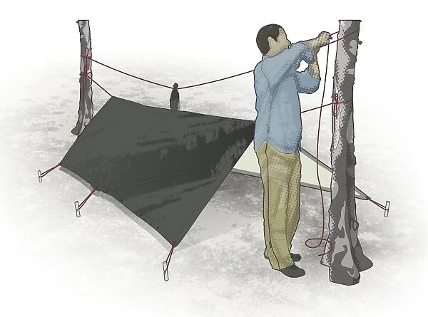 Digital illustration of man securing poncho between two tree trunks with rope and tent pegs