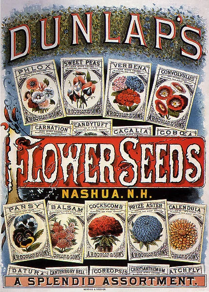 Dunlaps Flower Seeds