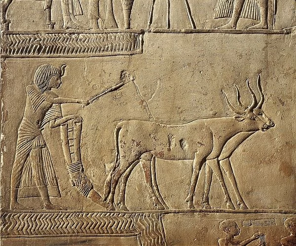 Egypt, Detail of Pharaoh ploughing in the fields of Irau and receiving the harvest offered by the farmers, wall of the Horemhebs tomb at Saqqara, eighteenth dynasty, limestone