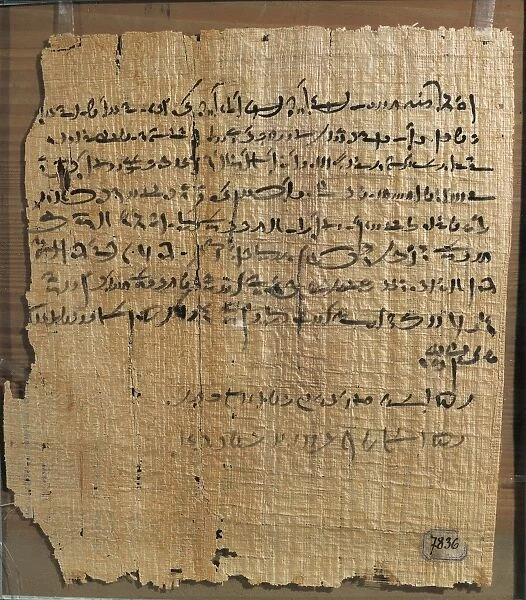 Egyptian sharecropping contract written on papyrus in Demotic script