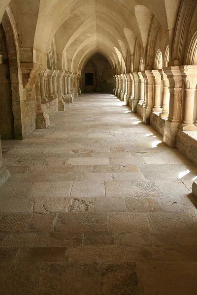 Fontenay cistercian abbey cloister