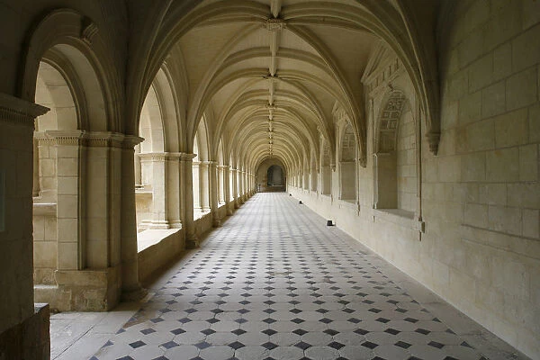 Fontevraud abbey cloister