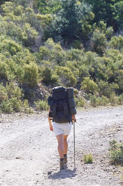 France, Corsica, mountain hiker carrying backpack walking along gravelly track, view from behind