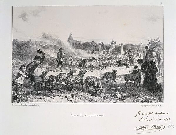 Franco-Prussian War 1870-1871: Driving away a flock of sheep to deny them falling