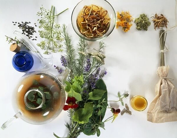Fresh and dried herbs, flowers, leavesglass bottles, capsules, ointment, lavender bag, and herbal tea infusion