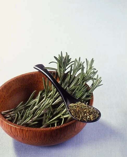 Fresh sprigs of rosemary in wooden bowl, spoon containing ground rosemary resting on top