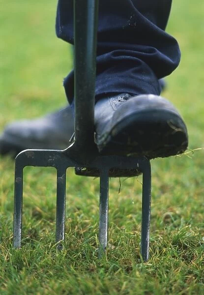 Garden fork being pressed into lawn with foot, close up