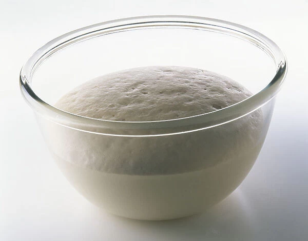 Glass bowl containing rising bread dough, close-up