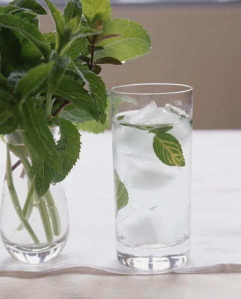 Glass of iced water with fresh peppermint leaves, sprigs of fresh mint in glass jug, standing on muslin