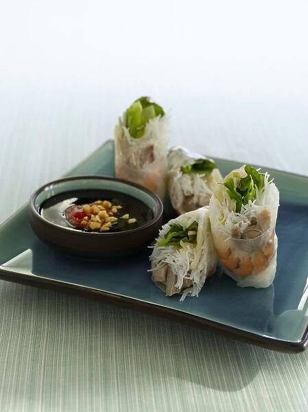 Goi chuon, Vietnamese rice paper-wrapped salad rolls, stuffed with lettuce, rice noodles, pork and shrimps, served with hoisin peanut sauce, on plate
