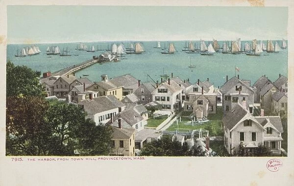 The Harbor, from Town Hill, Provincetown, Mass. Postcard. ca. 1905, The Harbor, from Town Hill, Provincetown, Mass. Postcard