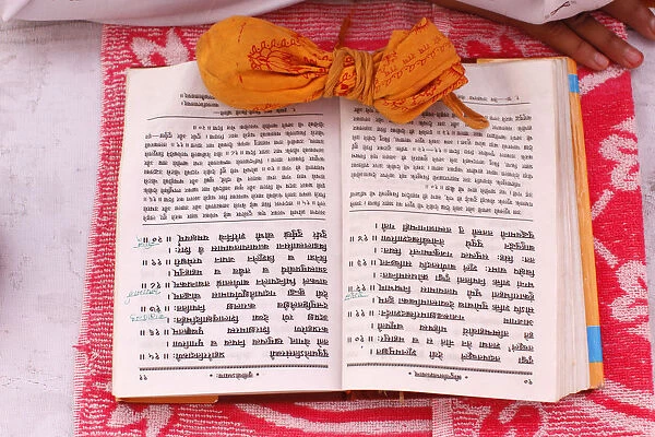 Hindu temple students book