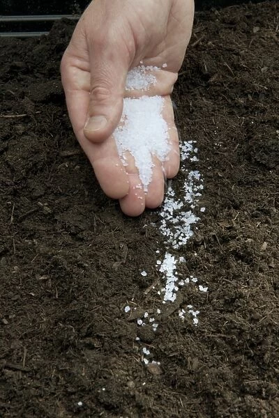 Holding moisture retaining granules in palm of hand above soil and compost