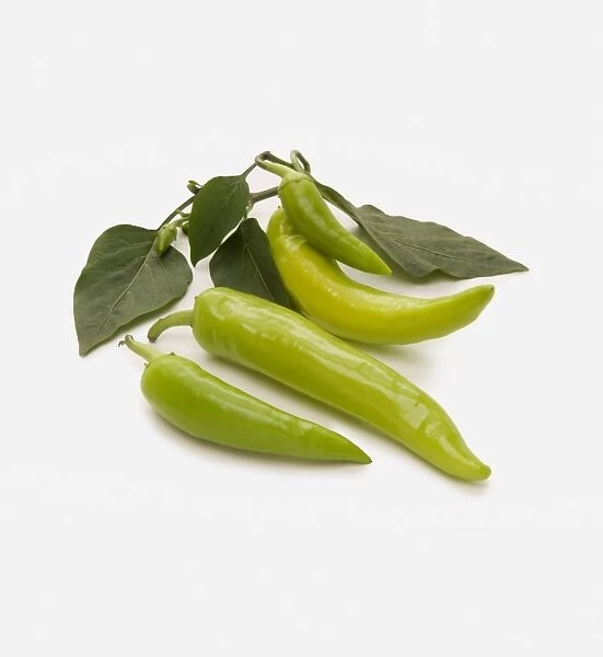 Four Hungarian hot wax chilli peppers and leaves