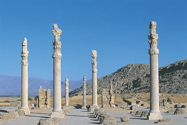 Iran, Persepolis, Reception Hall Apadana
