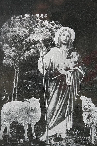 Jesus the good shepherd