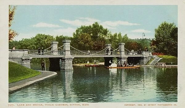 Lake and Bridge, Public Garden, Boston, Mass. Postcard. 1904, Lake and Bridge, Public Garden, Boston, Mass. Postcard