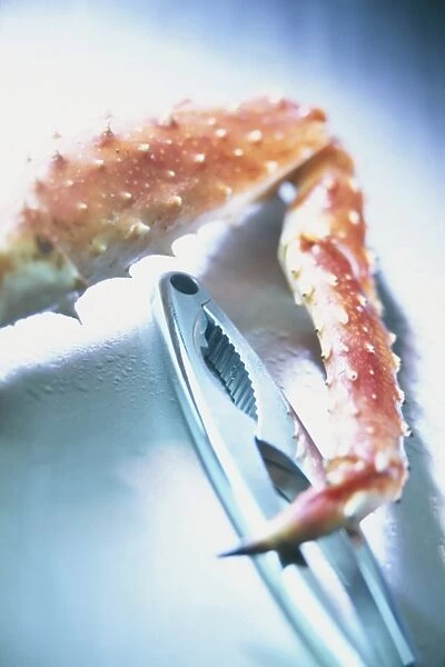 Leg of Alaskan King Crab next to metal lobster cracker, close-up