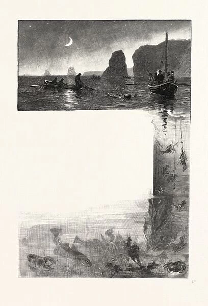 The Lower St. Lawrence and the Saguenay, in Quest of Bait, Canada, Nineteenth Century