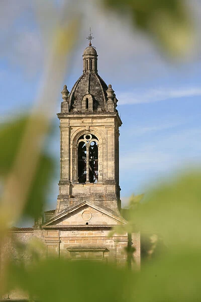 Margaux church spire among wine leaves