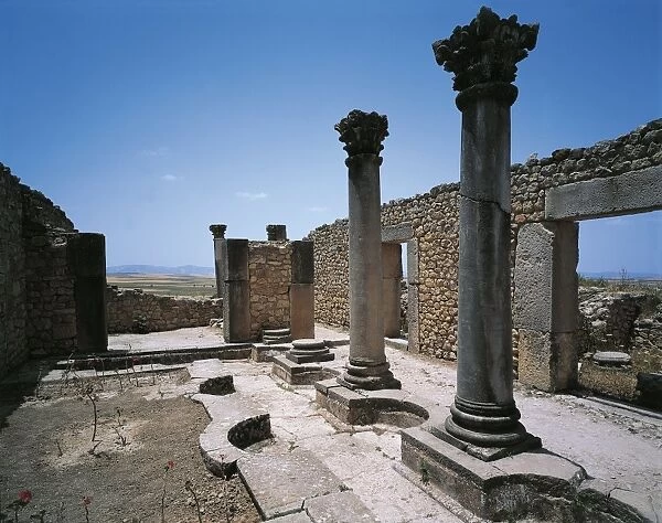 Morocco, Meknes-El Menzeh, nymphaeum (early 3rd century A. D. ) in House of Columns at Ancient city of Volubilis