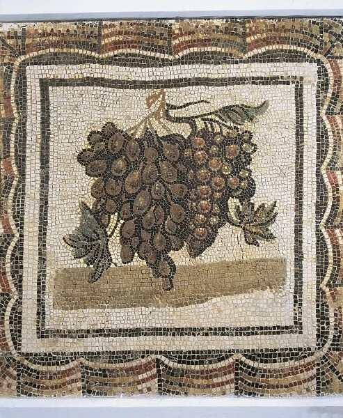 Mosaic medallions with xenia (still life) motif. From Thysdrus, El Djem, Tunisia, detail with red and white grapes