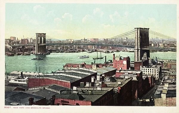 New York and Brooklyn Bridge Postcard. 1904, New York and Brooklyn Bridge Postcard