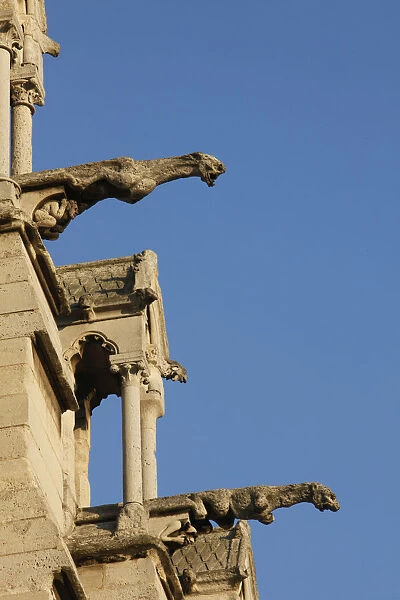 Notre-Dame of Paris cathedral southern facade gargoyles