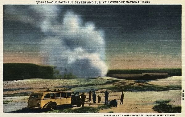 Old Faithful Geyser and Bus, Yellowstone National Park Postcard. ca. 1937, Old Faithful Geyser and Bus, Yellowstone National Park Postcard