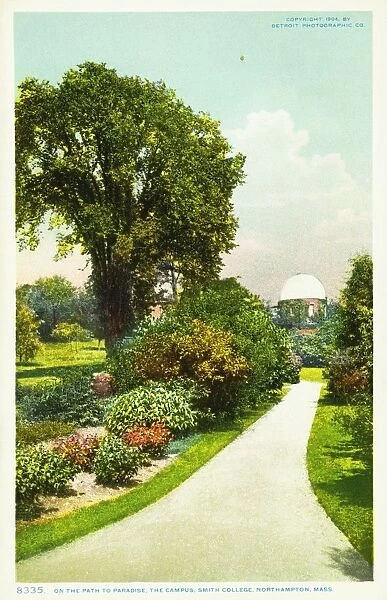 On the Path to Paradise, the Campus, Smith College, Northampton, Mass. Postcard. 1904, On the Path to Paradise, the Campus, Smith College, Northampton, Mass. Postcard