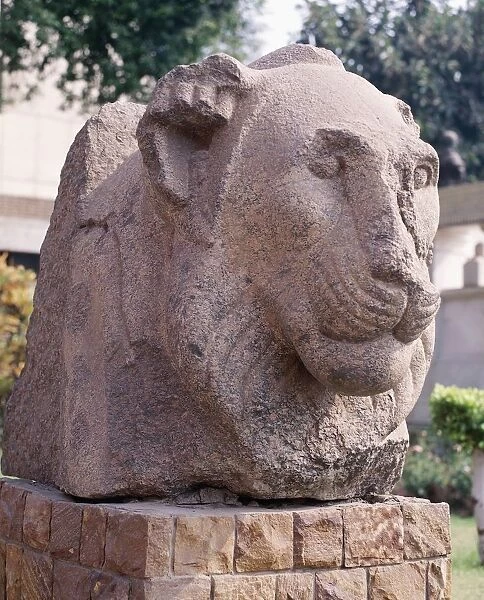 Pink Aswan granite lions head. From the Solar Temple of Niuserre, Egypt, Abu Sir (Abusir)