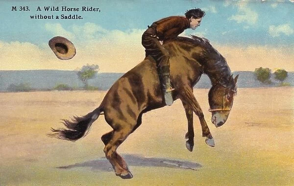 Postcard of Man Riding Wild Horse. ca. 1908-1910, M 343. A Wild Horse Rider, without a Saddle. This rider coming from Texas entered the Bucking contest at Cheyenne, Wyo. Frontier Day stating Bring out your worst horse without bridal or saddle. Note the hat of the rider is flying backward