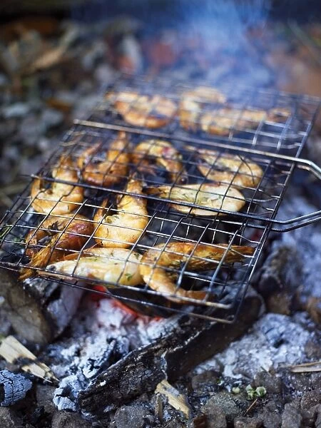 Prawns cooking on an open camp fire