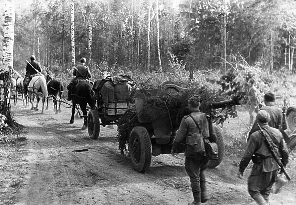 Red army artillery on the way to the offensive front lines in the vicinity of bryansk, world war ll