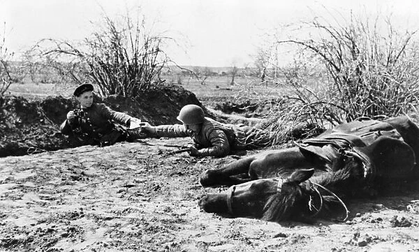A red army scout handing over his report to another soldier at an advanced observation post on the south-western front while his well trained horse lies flat for safety, world war ll