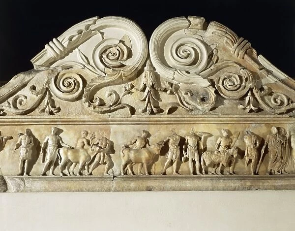 Relief depicting animals led to sacrifice, interior decoration of Ara Pacis Augustae, altar built between 13 and 9 B. C