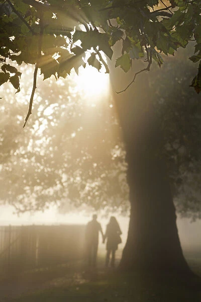 Romantic scene in Oxford, by the misty River Thames