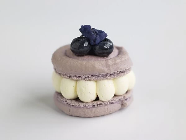 Small blueberry meringue cake