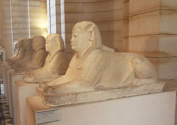 Six sphinxes that lined the leading I allee Serapeum Saqqara