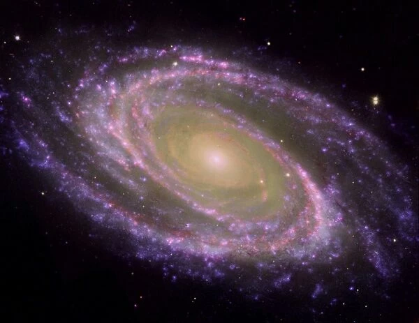 Spiral Galaxy M81, tilted at an oblique angle on to terrestrial line of sight, viewed